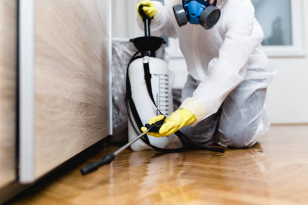 Best Ant Control Services  in Diamond Springs, CA