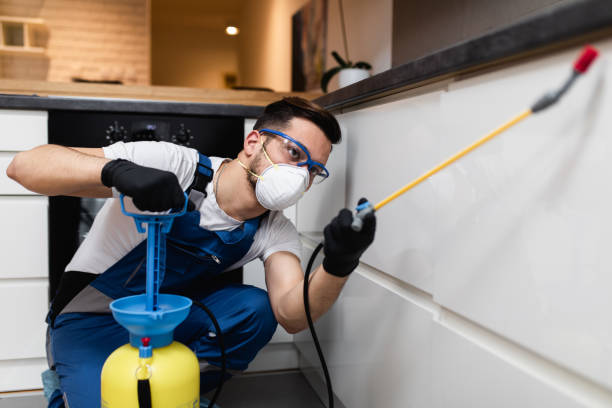 Best Local Pest Control Services  in Diamond Springs, CA