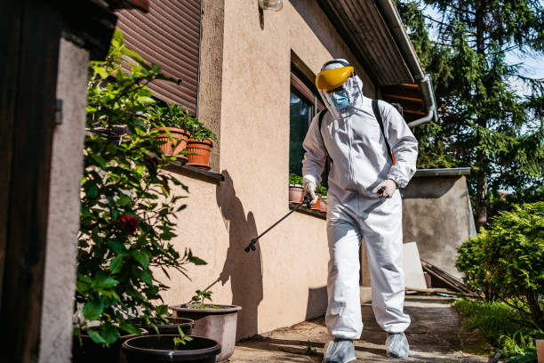 Pest Control Cost in Diamond Springs, CA