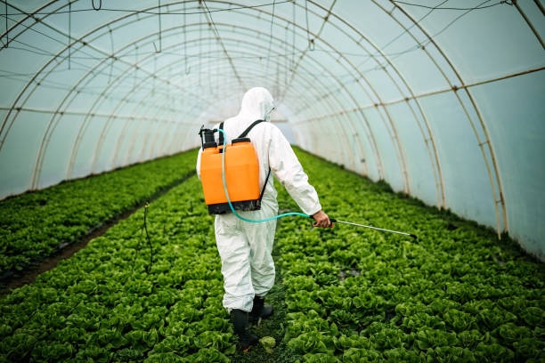 Best Pest Control Near Me  in Diamond Springs, CA