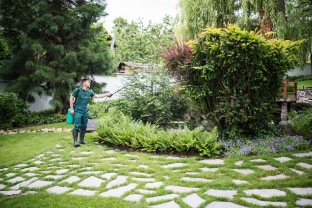 Best Pest Inspection Near Me  in Diamond Springs, CA