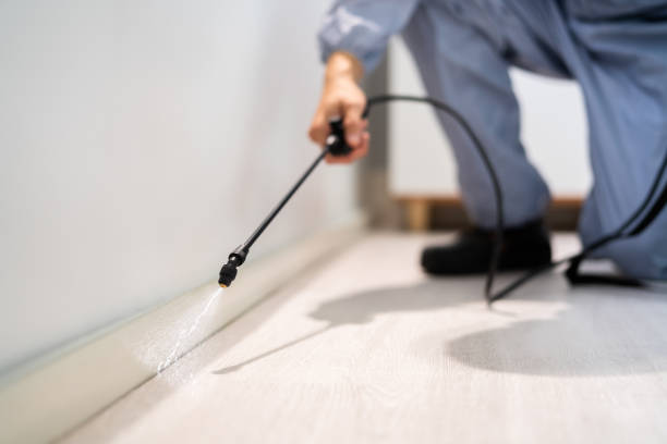 Best Pest Removal Services  in Diamond Springs, CA