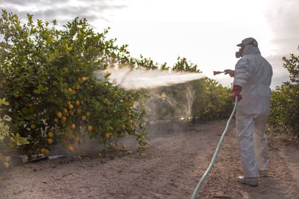Best Pest Control Cost  in Diamond Springs, CA
