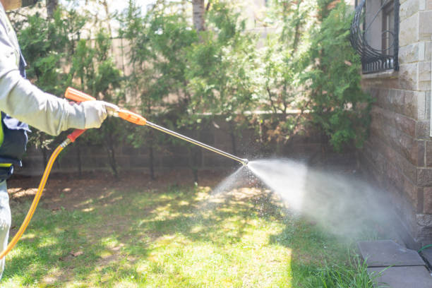 Best Wasp Removal Services  in Diamond Springs, CA