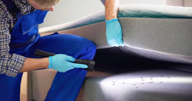 Best Bed Bug Extermination  in Diamond Springs, CA