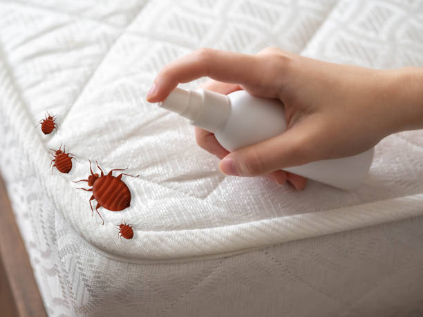 Best Pest Prevention Services  in Diamond Springs, CA