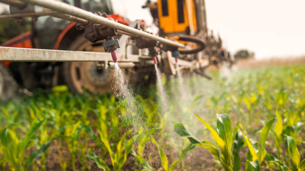 Professional Pest Control in Diamond Springs, CA